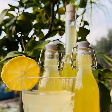 Glamping La Yurta Nel Luxe Ingerichte 6persoons Glamping Tent Kamp alanı