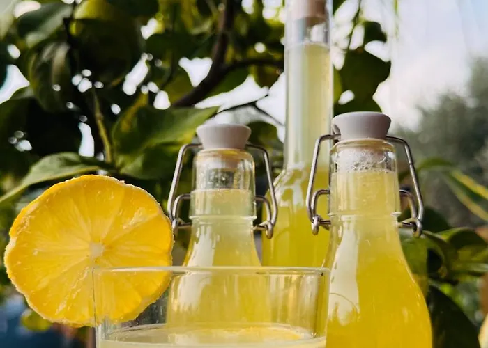 Glamping La Yurta Nel Luxe Ingerichte 6persoons Glamping Tent Kamp alanı